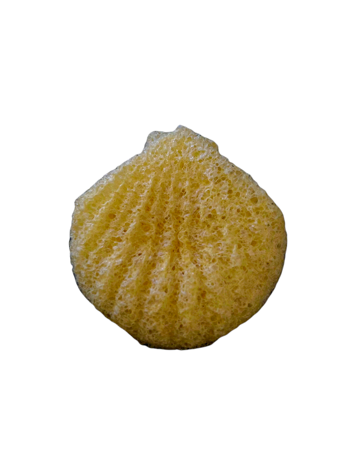 Esponja Konjac Concha Amarilla